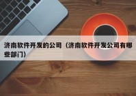 济南软件开发的公司（济南软件开发公司有哪些部门）