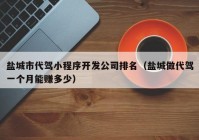 盐城市代驾小程序开发公司排名（盐城做代驾一个月能赚多少）