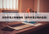 软件开发公司赚钱吗（软件开发公司的出路）