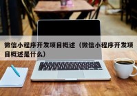 微信小程序开发项目概述（微信小程序开发项目概述是什么）