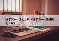 哈尔滨seo优化公司（哈尔滨seo网络优化公司）