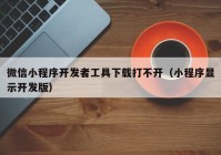 微信小程序开发者工具下载打不开（小程序显示开发版）