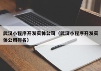 武汉小程序开发实体公司（武汉小程序开发实体公司排名）