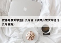 软件开发大学选什么专业（软件开发大学选什么专业好）