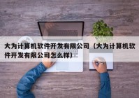 大为计算机软件开发有限公司（大为计算机软件开发有限公司怎么样）