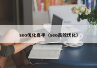 seo优化高手（seo高效优化）