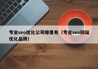 专业seo优化公司哪里有（专业seo网站优化品牌）