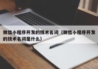 微信小程序开发的技术名词（微信小程序开发的技术名词是什么）